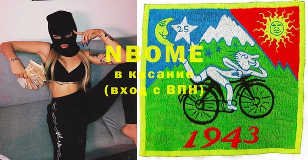 прущие грибы Кулебаки
