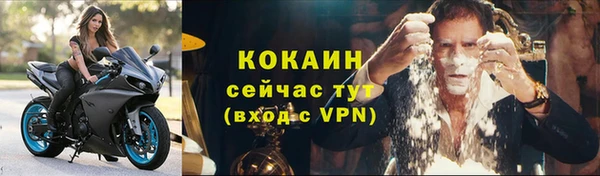 прущие грибы Кулебаки