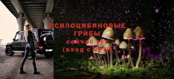 прущие грибы Кулебаки