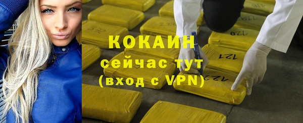 прущие грибы Кулебаки