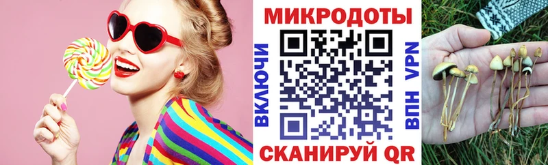 Псилоцибиновые грибы Cubensis  сайты даркнета Telegram  Донской 