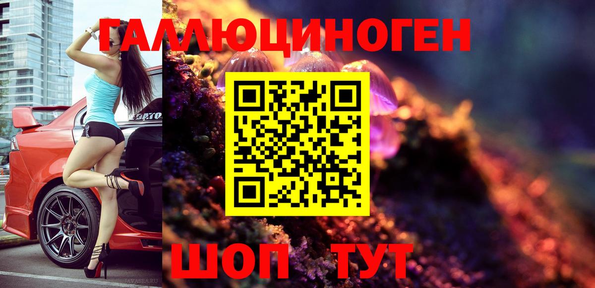 Псилоцибиновые грибы GOLDEN TEACHER Донской