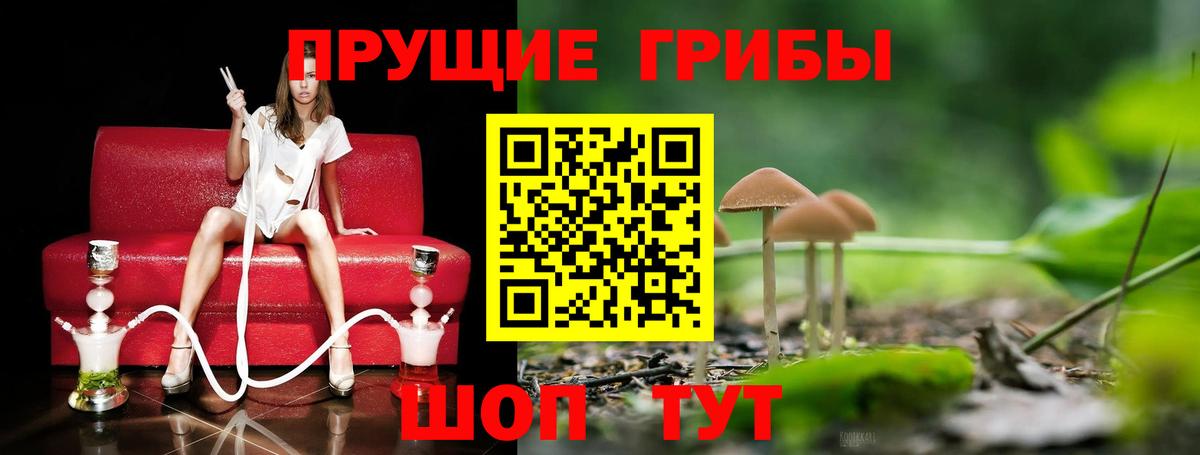 наркотики  Донской  Псилоцибиновые грибы Magic Shrooms 